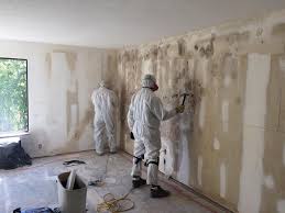 Asbestos and Lead Testing During Mold Inspection in Wolfe City, TX